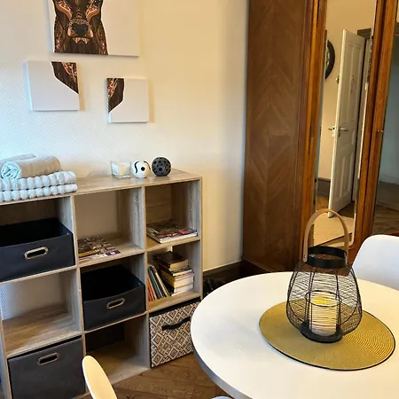 Grande Elegante Les Bannacker 25 M2 Centre A Pied Privat bolig *