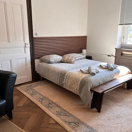 Grande Elegante Les Bannacker 25 M2 Centre A Pied Privat bolig *