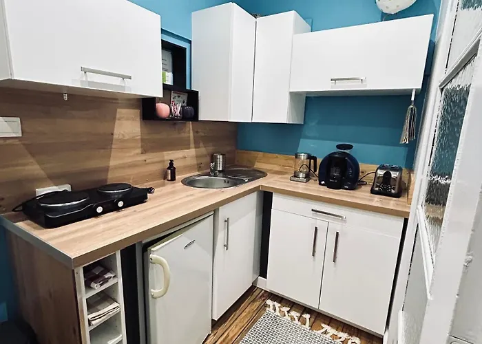 Grande Elegante Les Bannacker 25 M2 Centre A Pied Privat bolig