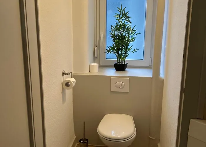 Grande Elegante Les Bannacker 25 M2 Centre A Pied Privat bolig Wissembourg