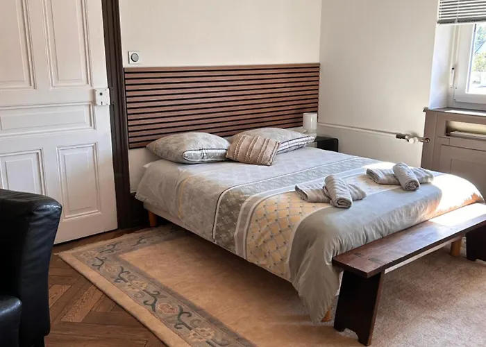 Grande Elegante Les Bannacker 25 M2 Centre A Pied Privat bolig *